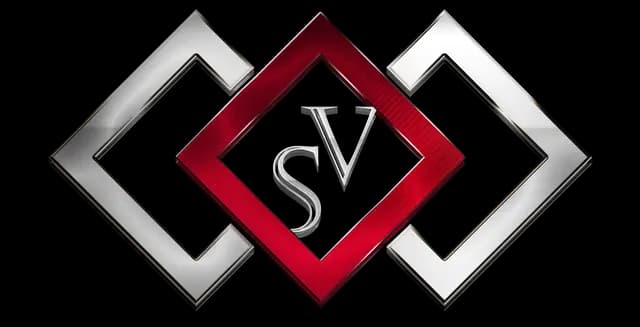 VivaSilver Workshop
